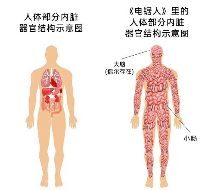 3DM輕松一刻第1343期 你竟然吃迪麗熱巴豆腐？