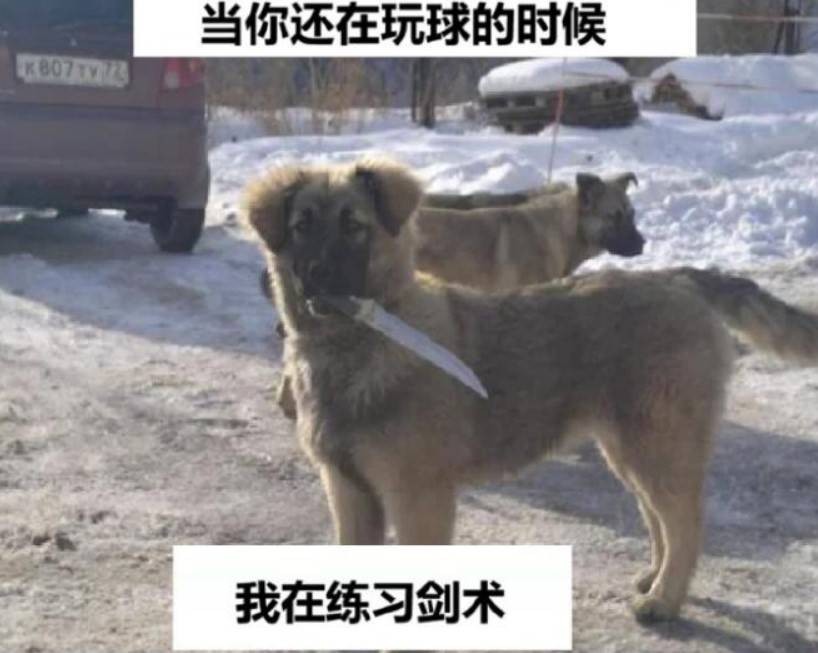 周五福利囧圖云飛系列 為何婚紗是肉色不是純白色