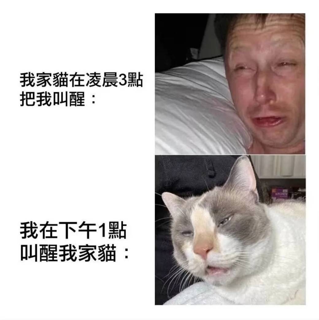 周五福利囧圖云飛系列 AI生成的老婆越來越逼真！