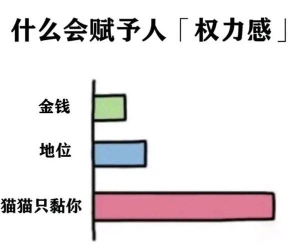 3DM輕松一刻第1438期 烏黑的發(fā)尾盤成了一個(gè)圈！