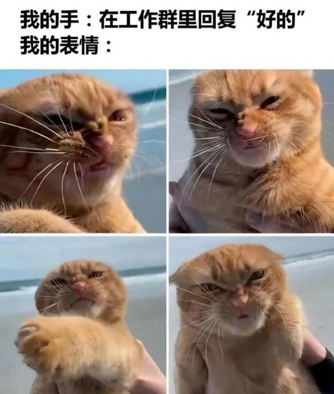 3DM輕松一刻第1444期 這招對單身狗的殺傷力很強