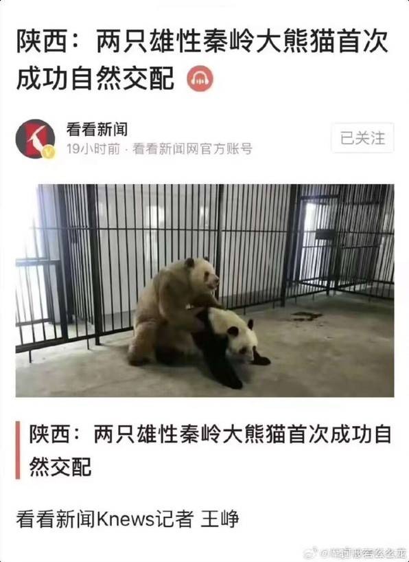 3DM輕松一刻第1444期 這招對單身狗的殺傷力很強