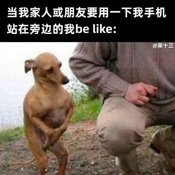 轻松一刻第1445期 小姐姐这个真不是火箭筒啊