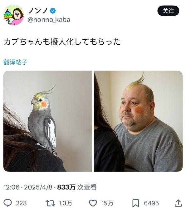 3DMһ̵1445 С治ǻͲ