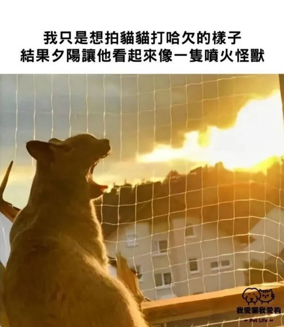 3DMһ̵1445 С治ǻͲ