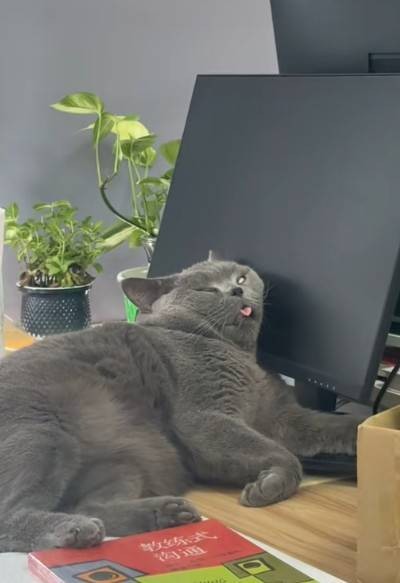 һںͼƷϵ ٤˹Ǹ
