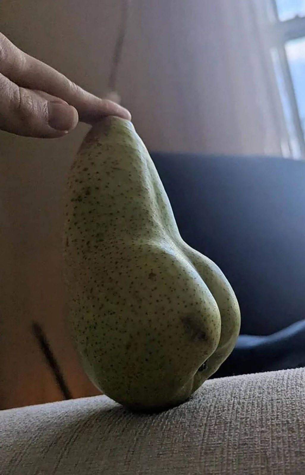 һںͼƷϵ ٤˹Ǹ