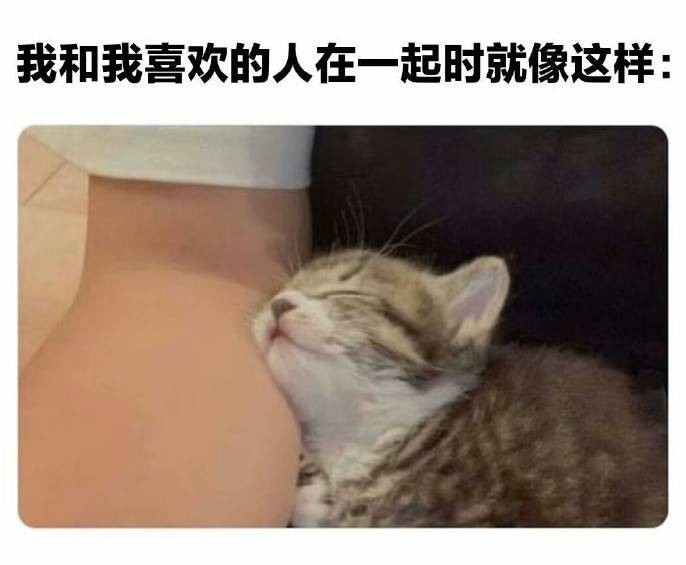 3DM輕松一刻第1454期 今天主角不是新娘是攝影師