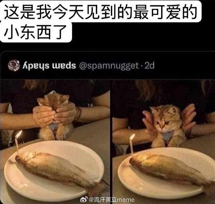 3DM輕松一刻第1454期 今天主角不是新娘是攝影師