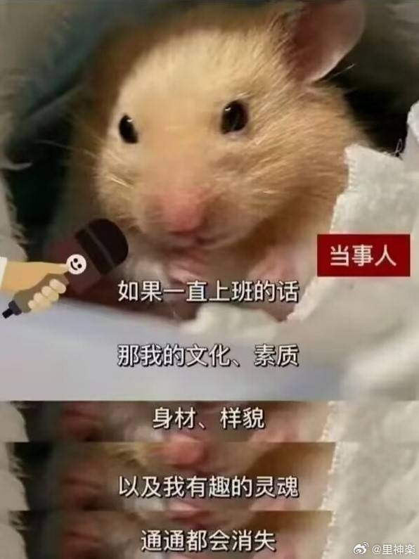 3DM輕松一刻第1454期 今天主角不是新娘是攝影師