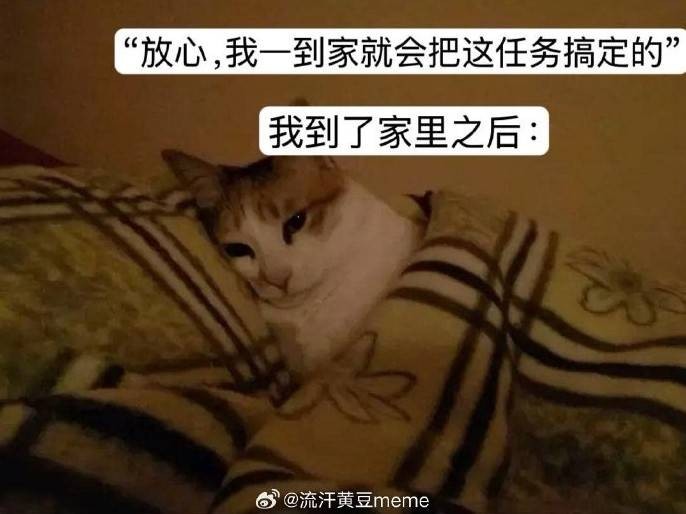 3DM輕松一刻第1454期 今天主角不是新娘是攝影師