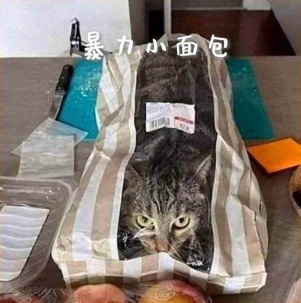 3DM輕松一刻第1455期 女朋友一看到我就很熱很熱