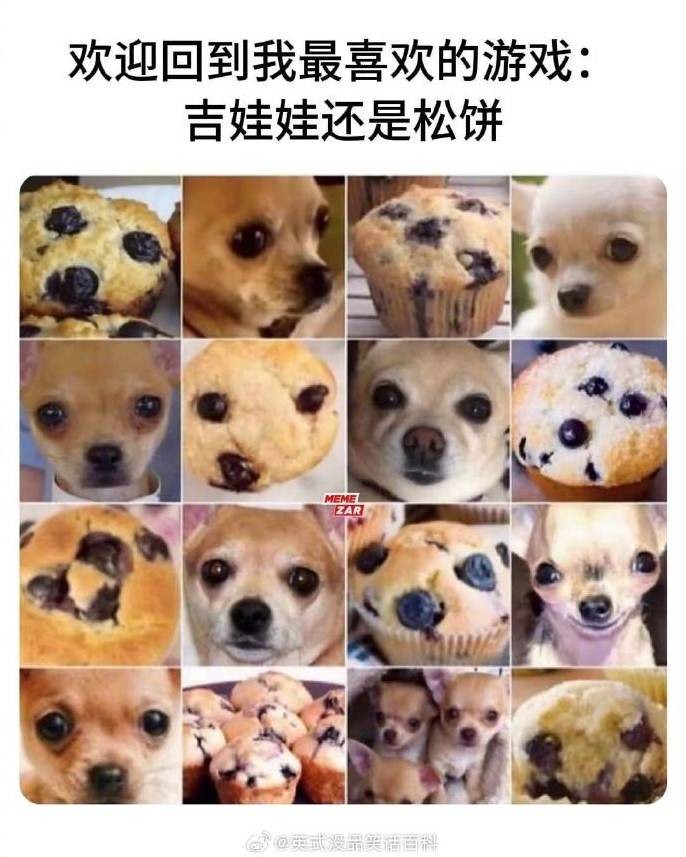 轻松一刻第1456期 人必须不断给自己上难度！
