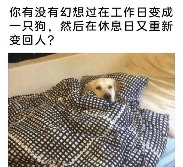 3DM輕松一刻第1456期 人必須不斷給自己上難度！