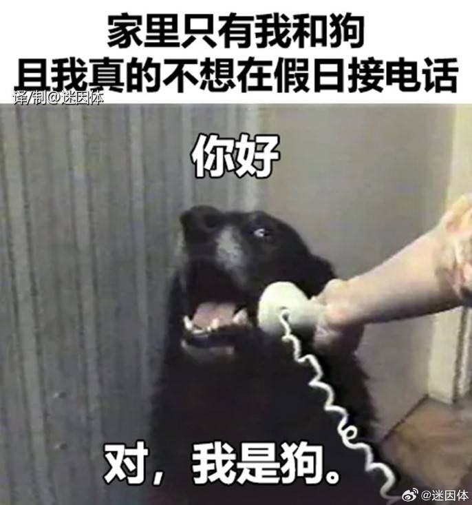 3DM輕松一刻第1456期 人必須不斷給自己上難度！