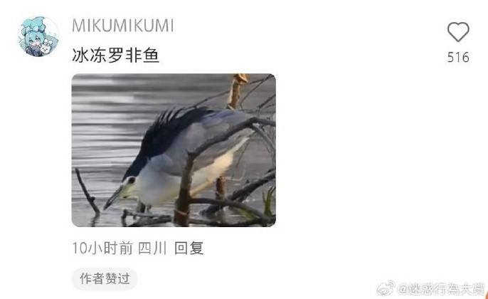 3DM輕松一刻第1457期 美女看起來很好騙的樣子
