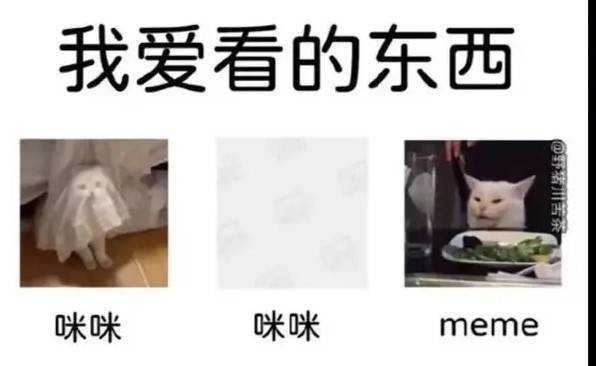 3DM輕松一刻第1457期 美女看起來很好騙的樣子
