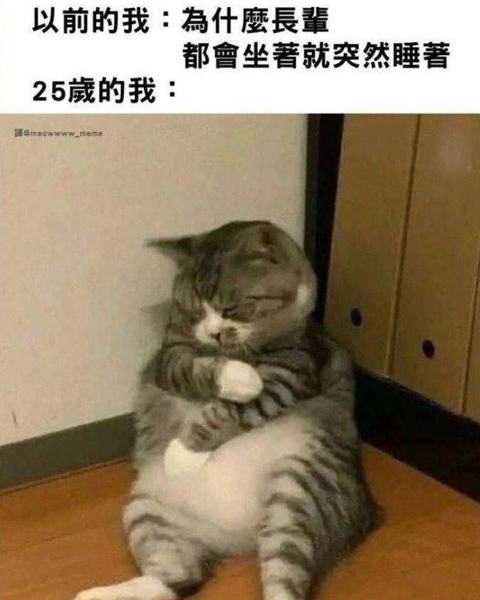 3DM輕松一刻第1457期 美女看起來很好騙的樣子