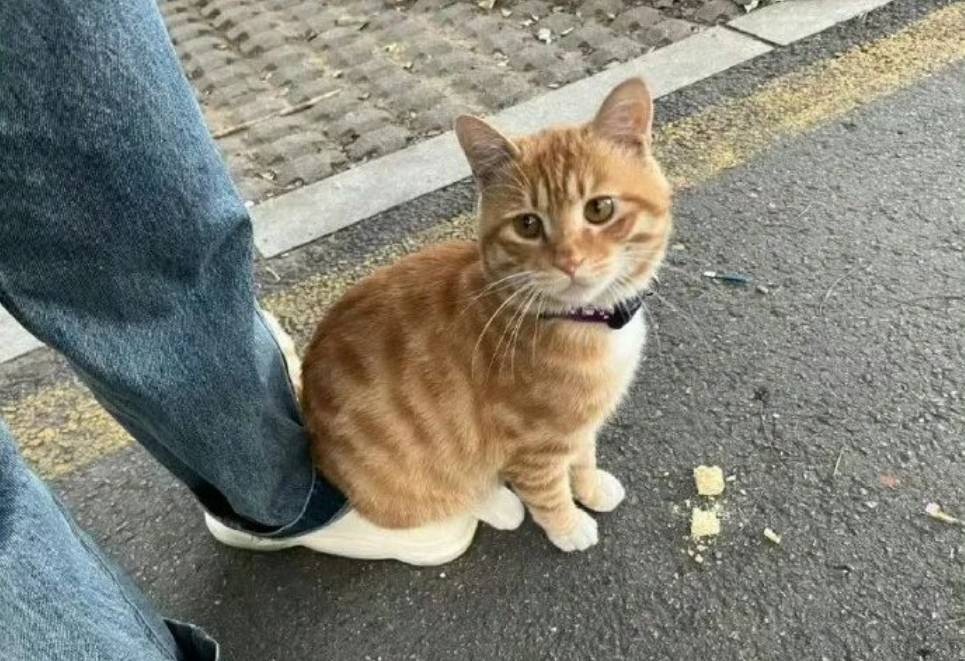 帣ͼƷϵ ŮôԸȥĶ