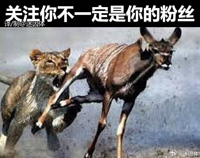 轻松一刻第1458期 任凭酒杯三千我只取一杯饮