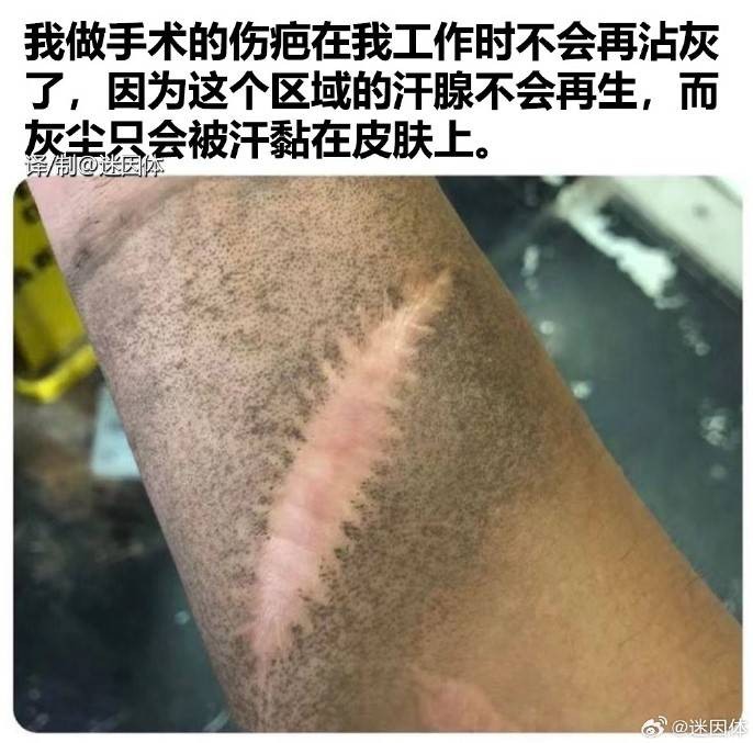 3DM輕松一刻第1458期 任憑酒杯三千我只取一杯飲