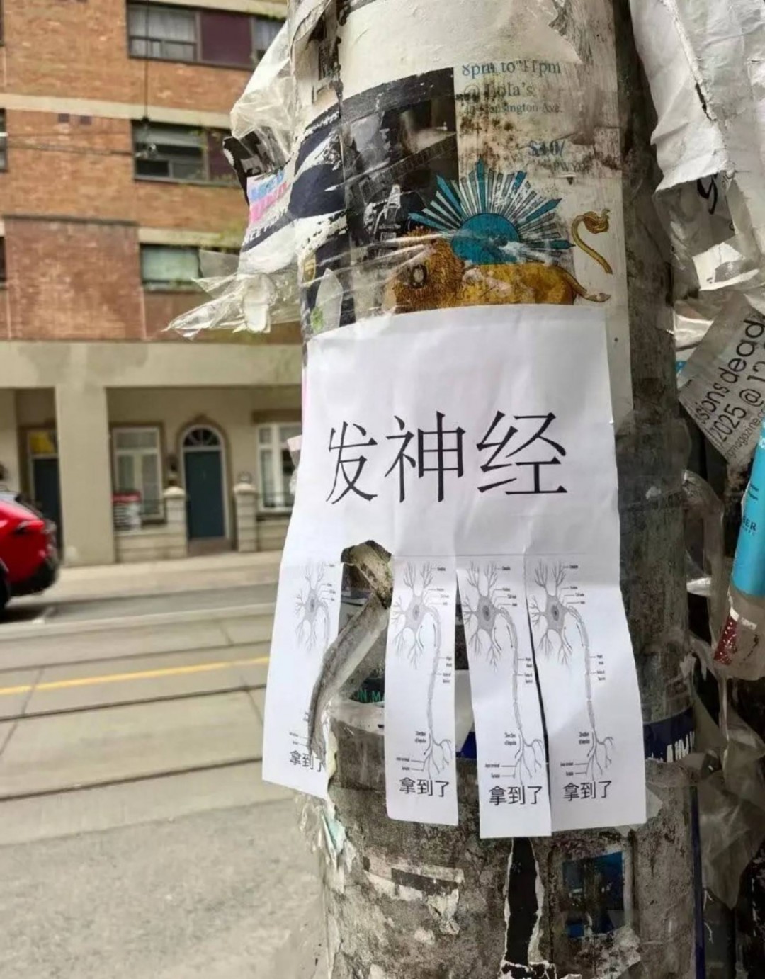 周一内涵囧图云飞系列 原来美大长腿是用来跨围栏