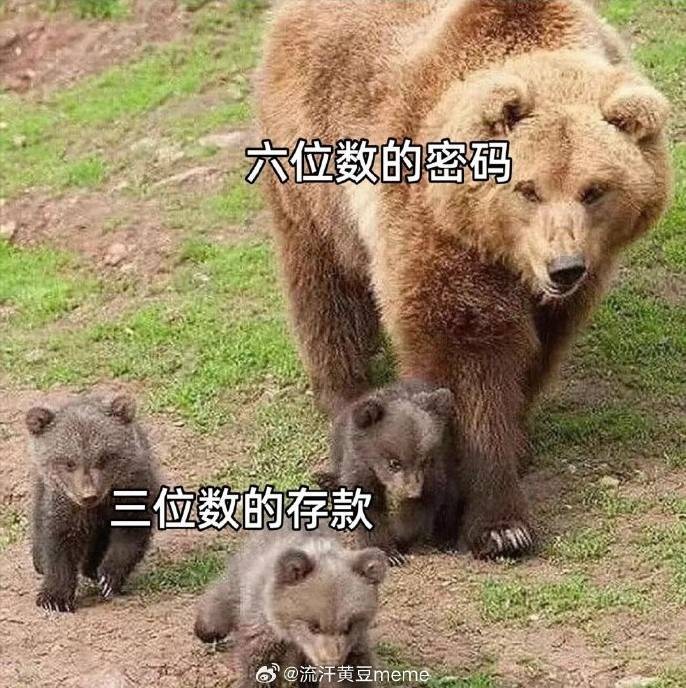 3DM輕松一刻第1460期 美女在大冷天還為我跳舞
