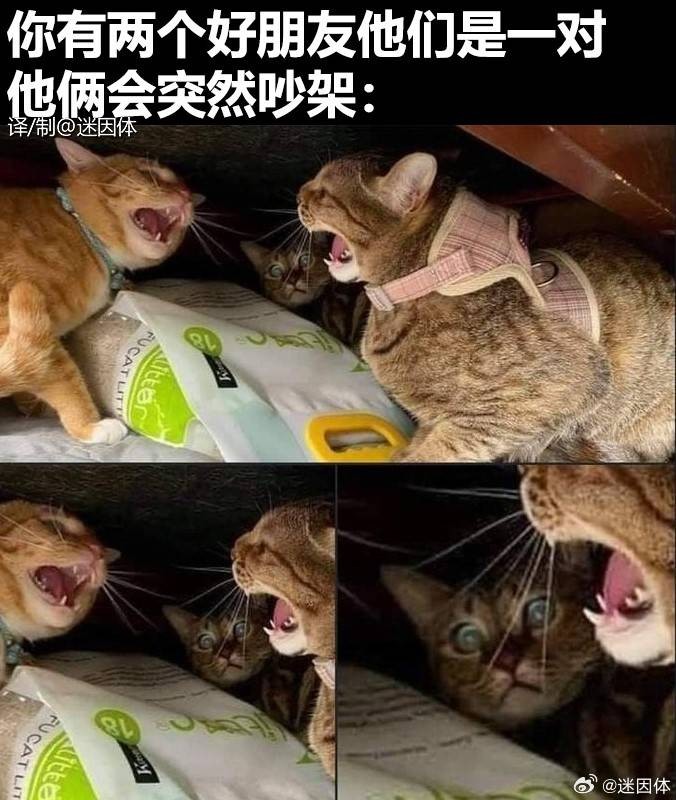 3DM輕松一刻第1461期 大爺做了我想做卻沒敢做的事