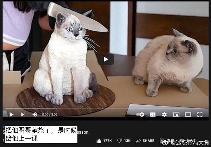 3DM輕松一刻第1461期 大爺做了我想做卻沒敢做的事