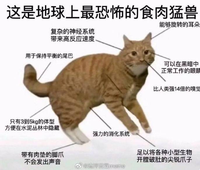 3DM輕松一刻第1461期 大爺做了我想做卻沒(méi)敢做的事