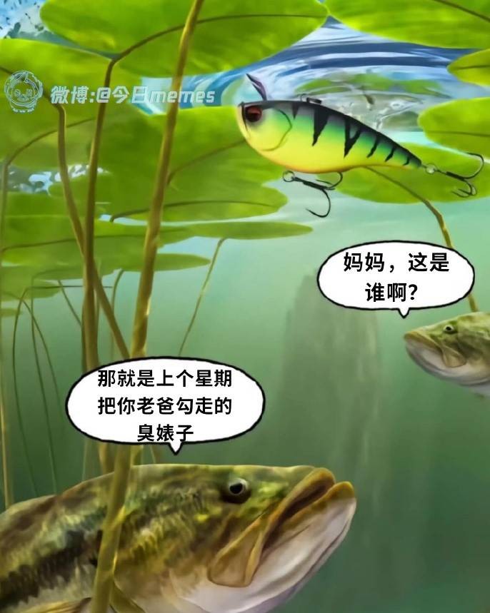 轻松一刻第1462期 美女只管优雅从容心怀远方