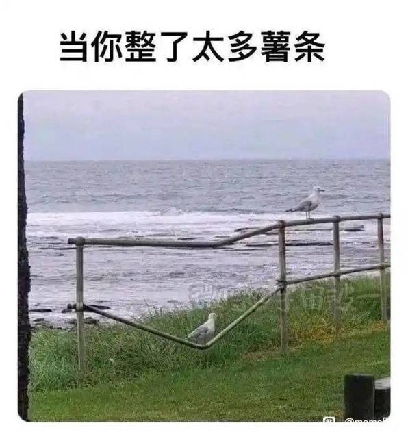轻松一刻第1462期 美女只管优雅从容心怀远方
