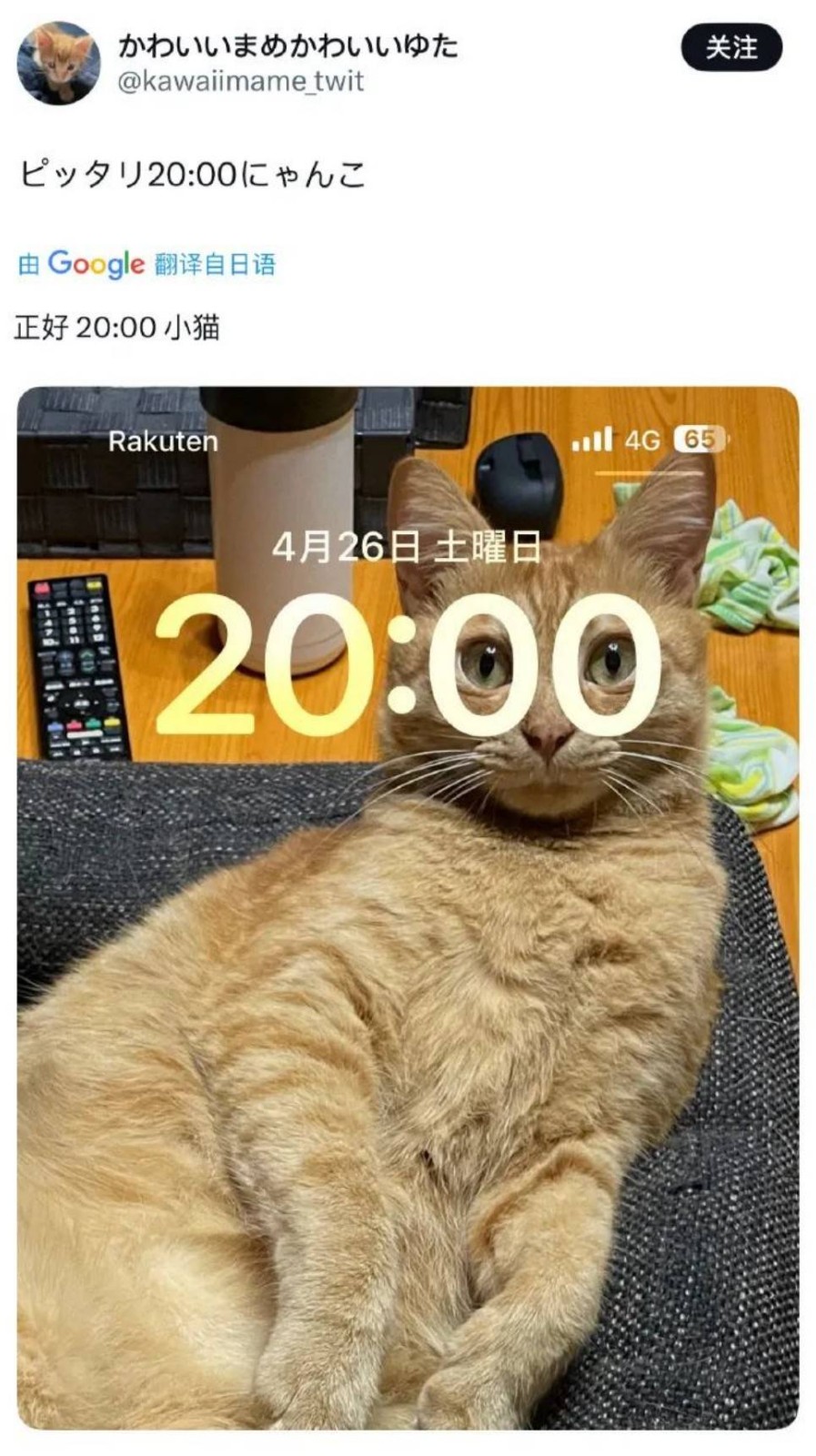 周五福利囧圖云飛系列 為啥女友穿包臀裙我沒(méi)感覺(jué)？