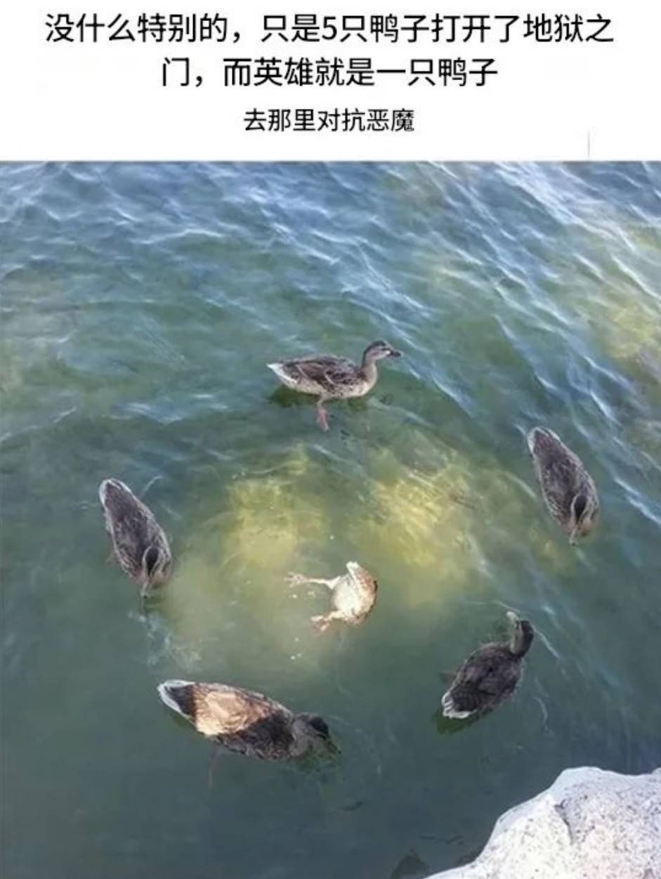 周五福利囧圖云飛系列 為啥女友穿包臀裙我沒感覺？