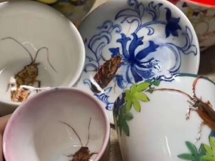 周一內(nèi)涵囧圖云飛系列 美女為何在自己家還戴口罩
