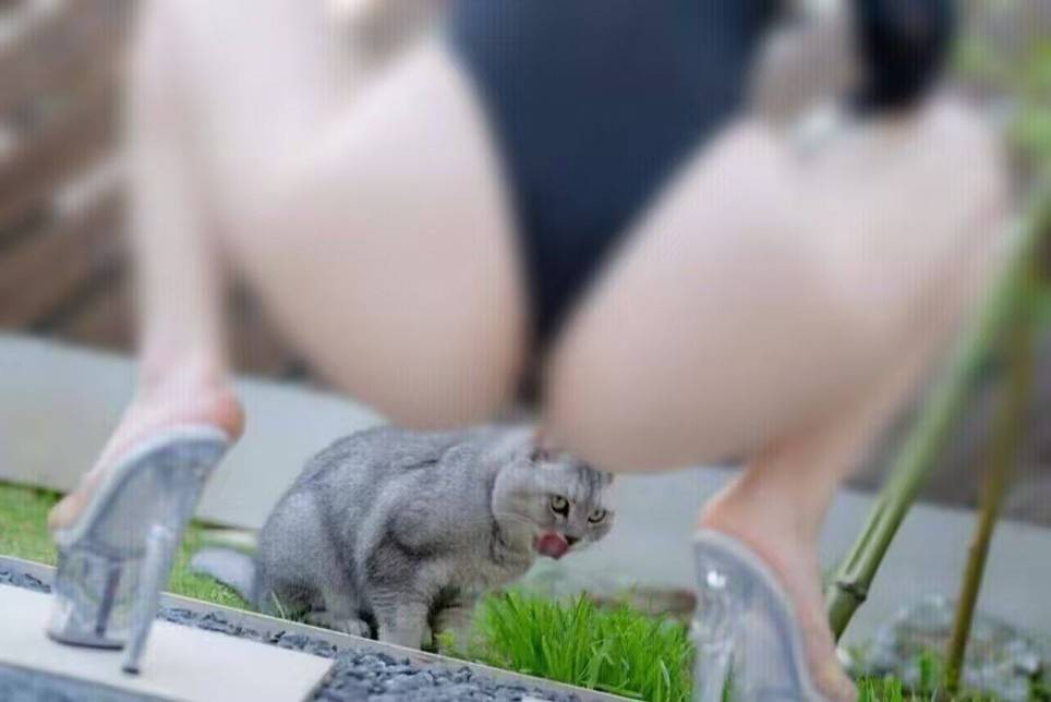 周一內(nèi)涵囧圖云飛系列 美女為何在自己家還戴口罩