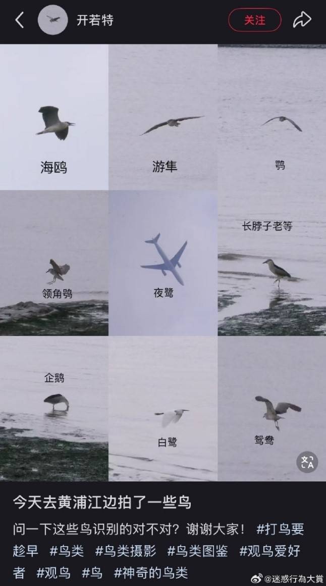轻松一刻第1465期 运动果然是美的真美不胜收
