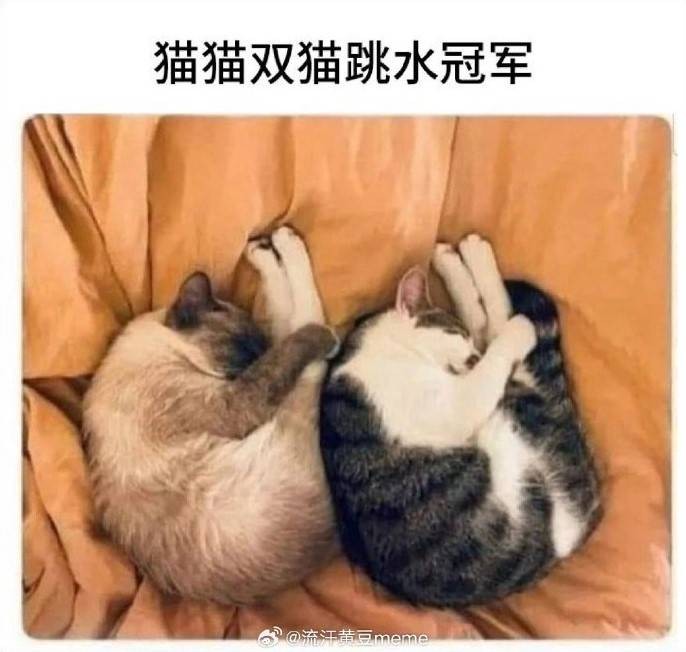3DMһ̵1466 ɴչʾʲôǺ