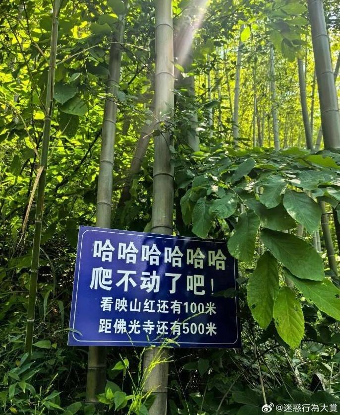 3DM輕松一刻第1467期 花哨招式在實(shí)力面前無用處