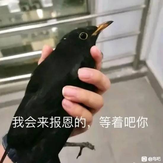 帣ͼƷϵ Ůγû