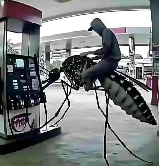 帣ͼƷϵ Ůγû