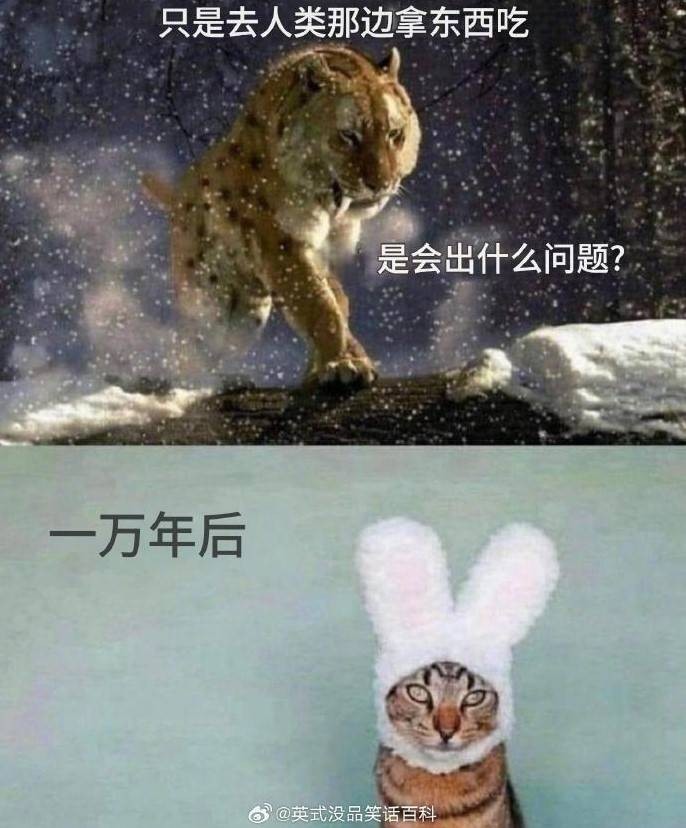 3DM輕松一刻第1468期 女生的肚子這么神奇的嗎？