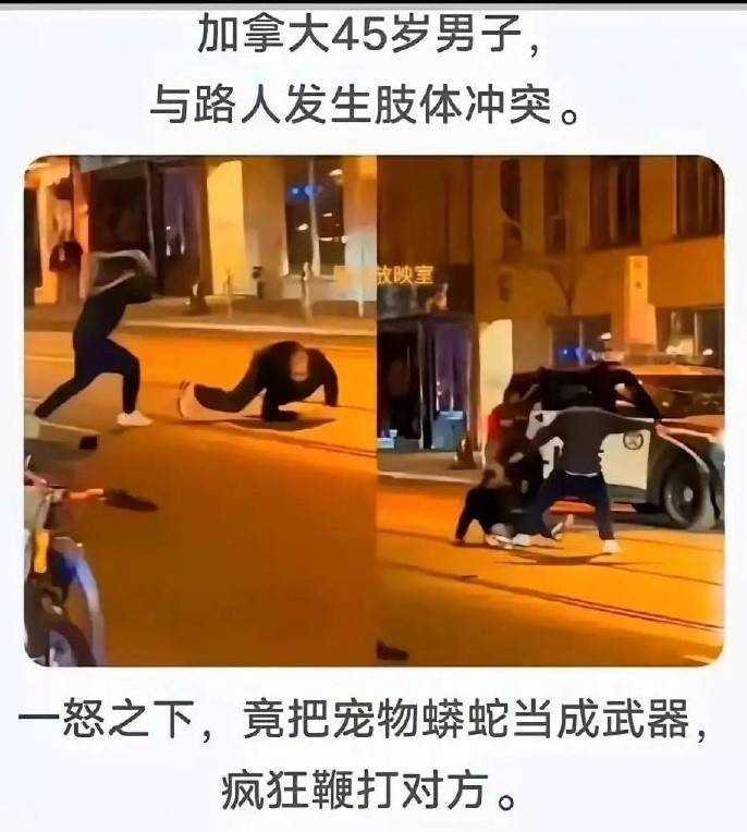 3DM輕松一刻第1468期 女生的肚子這么神奇的嗎？