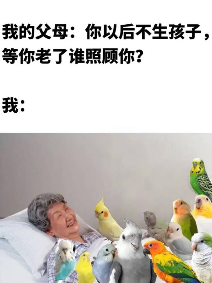 3DM輕松一刻第1470期 美女這腿真是長得要命??！
