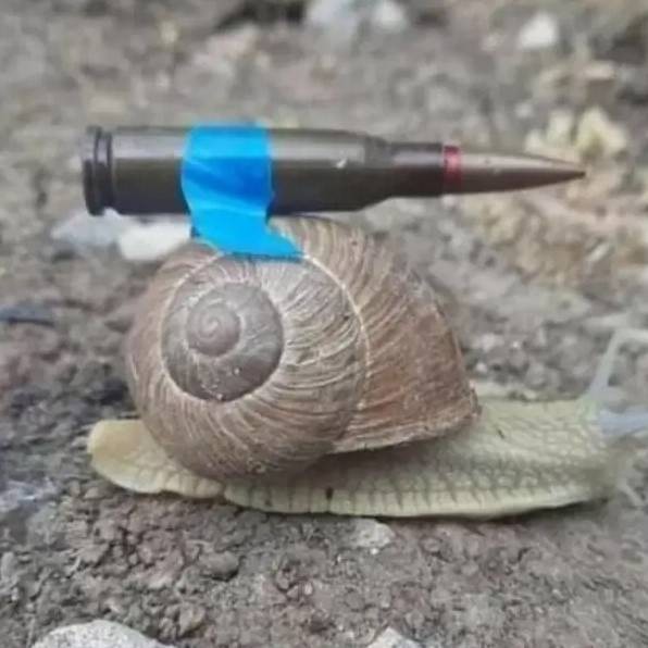 轻松一刻第1470期 美女这腿真是长得要命啊！