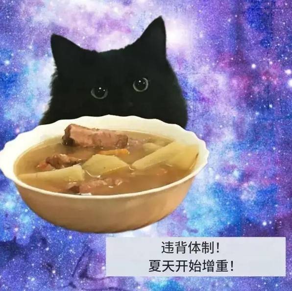 3DM輕松一刻第1471期 我在等待她的頭發(fā)被風(fēng)吹起