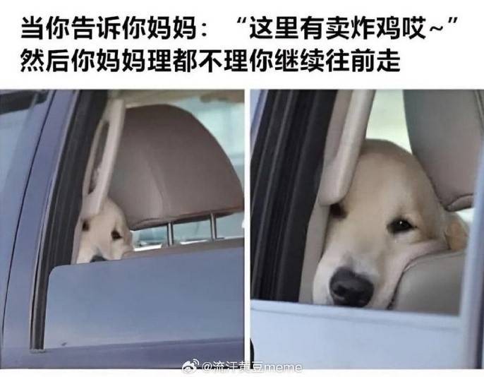 3DM輕松一刻第1471期 我在等待她的頭發(fā)被風(fēng)吹起