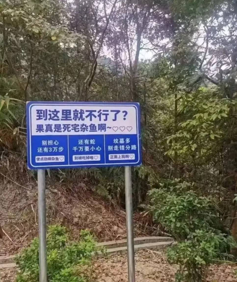 周五福利囧圖云飛系列 科技感的網(wǎng)紅你們看看就好