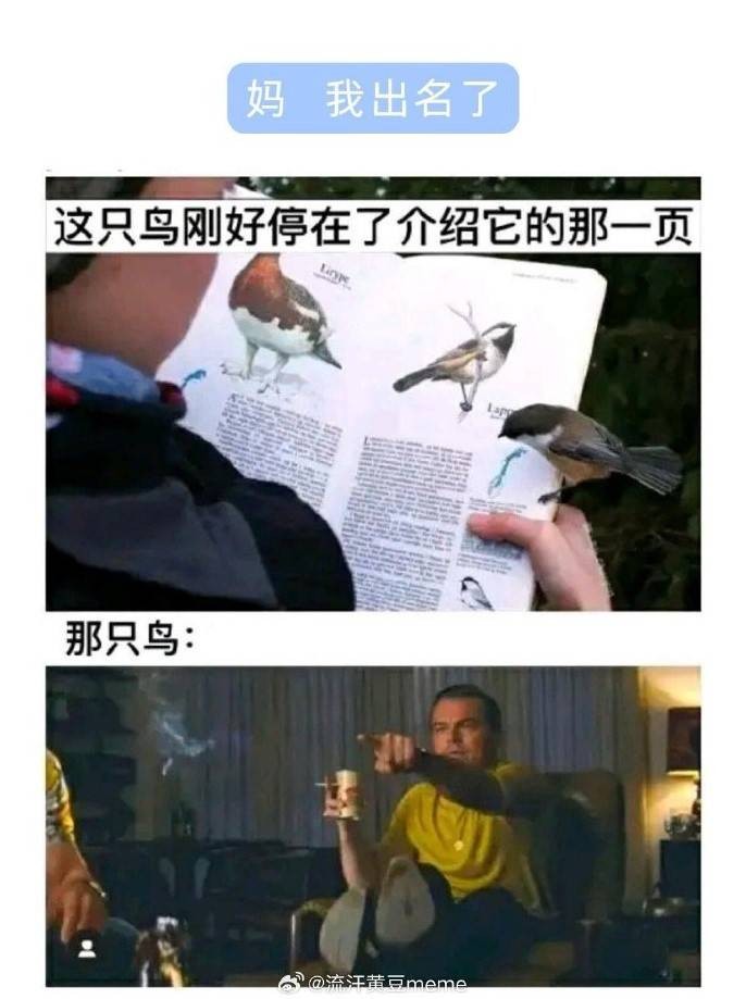 轻松一刻第1476期 本可靠脸吃饭但实力吊打世界