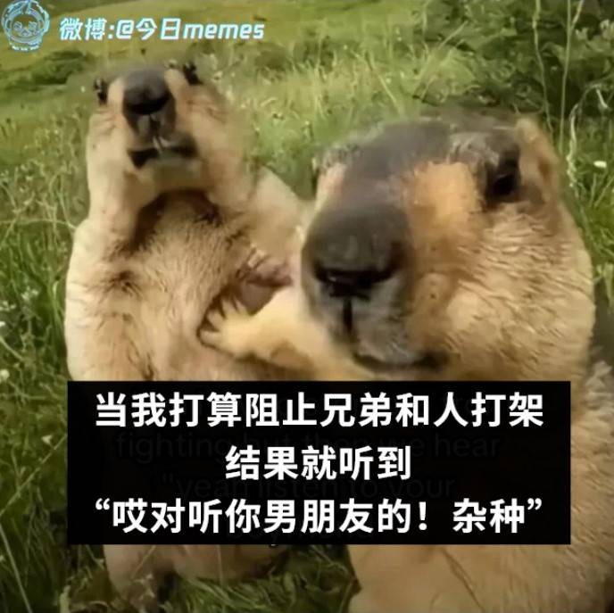 轻松一刻第1476期 本可靠脸吃饭但实力吊打世界
